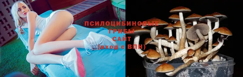 Псилоцибиновые грибы Magic Shrooms  Кувандык 